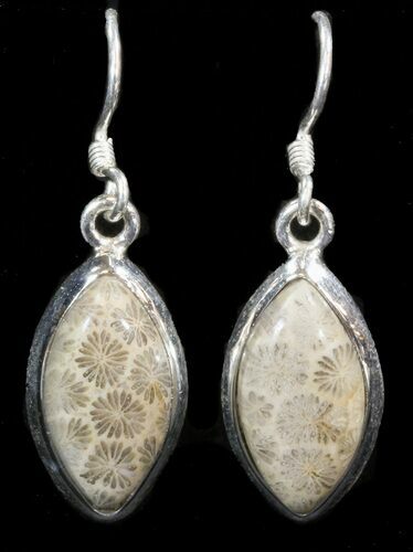 Beautiful Fossil Coral Sunburst Earrings - Sterling Silver #41212